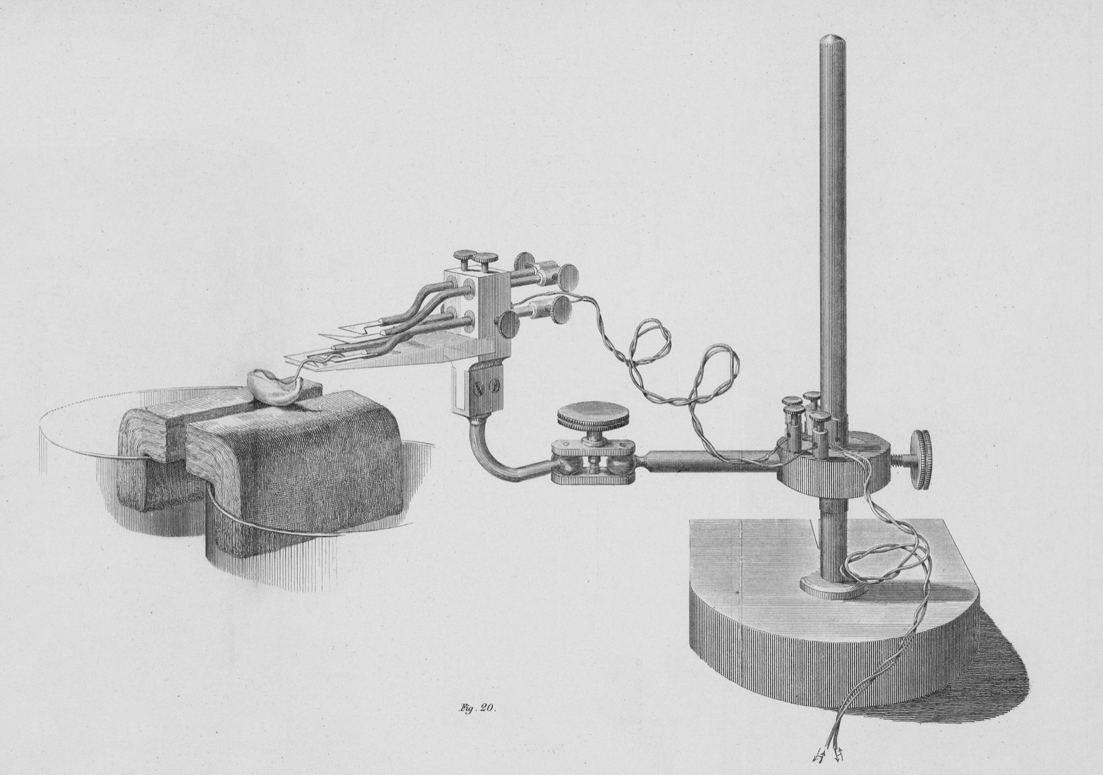 Du Bois-Reymond's arrangement for observing the negative variation: a frog muscle across two pads, led to a galvanometer.